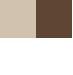 Carré beige et brun avec du texte Roboto et Aston Script Bold
